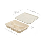 Four  food takeaway boxes (biodegradable)