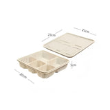 Four food takeaway boxes (biodegradable)
